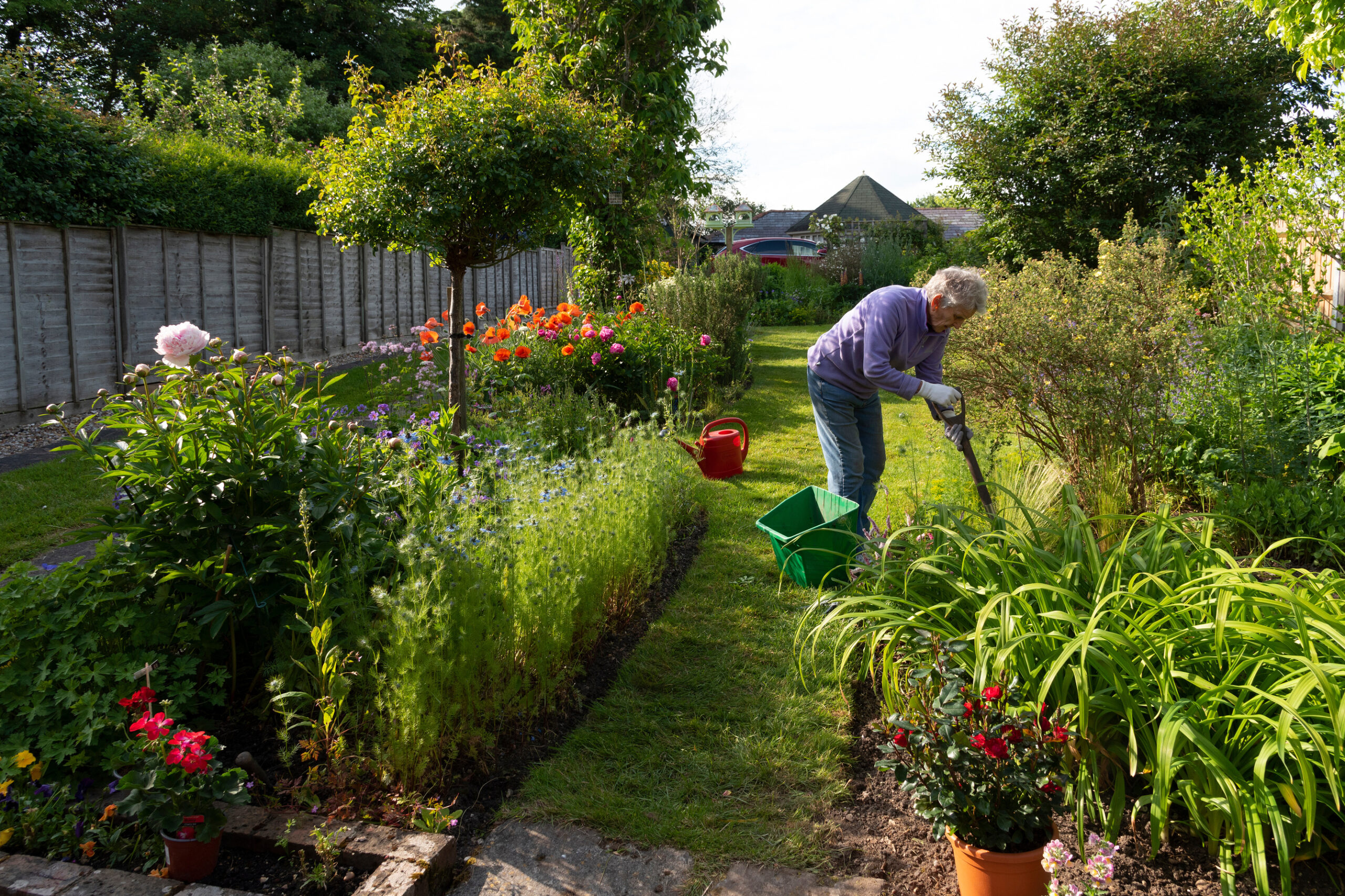 How To Keep Your Garden Looking Good Through The Heat During Summer 2026